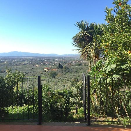 Agriturismo Podere Rondinaio Lamporecchio Dış mekan fotoğraf
