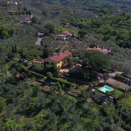 Agriturismo Podere Rondinaio Lamporecchio Dış mekan fotoğraf
