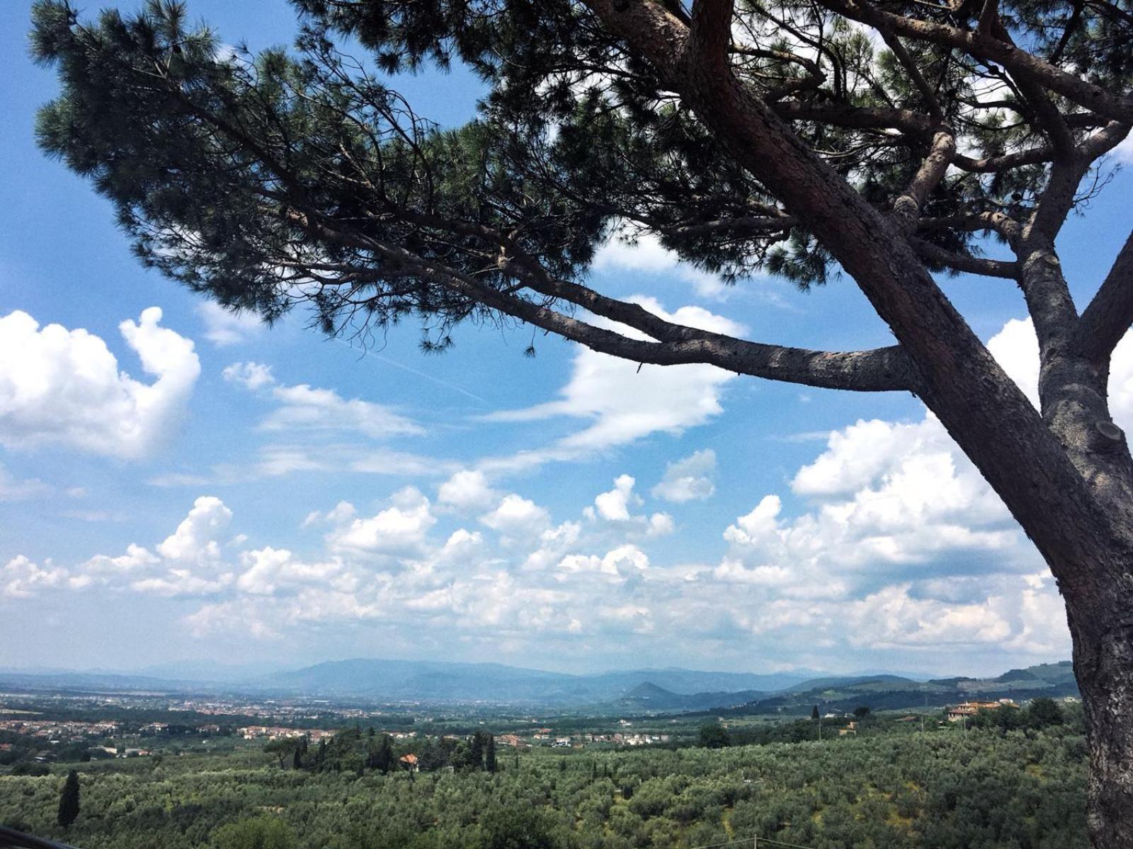 Agriturismo Podere Rondinaio Lamporecchio Dış mekan fotoğraf