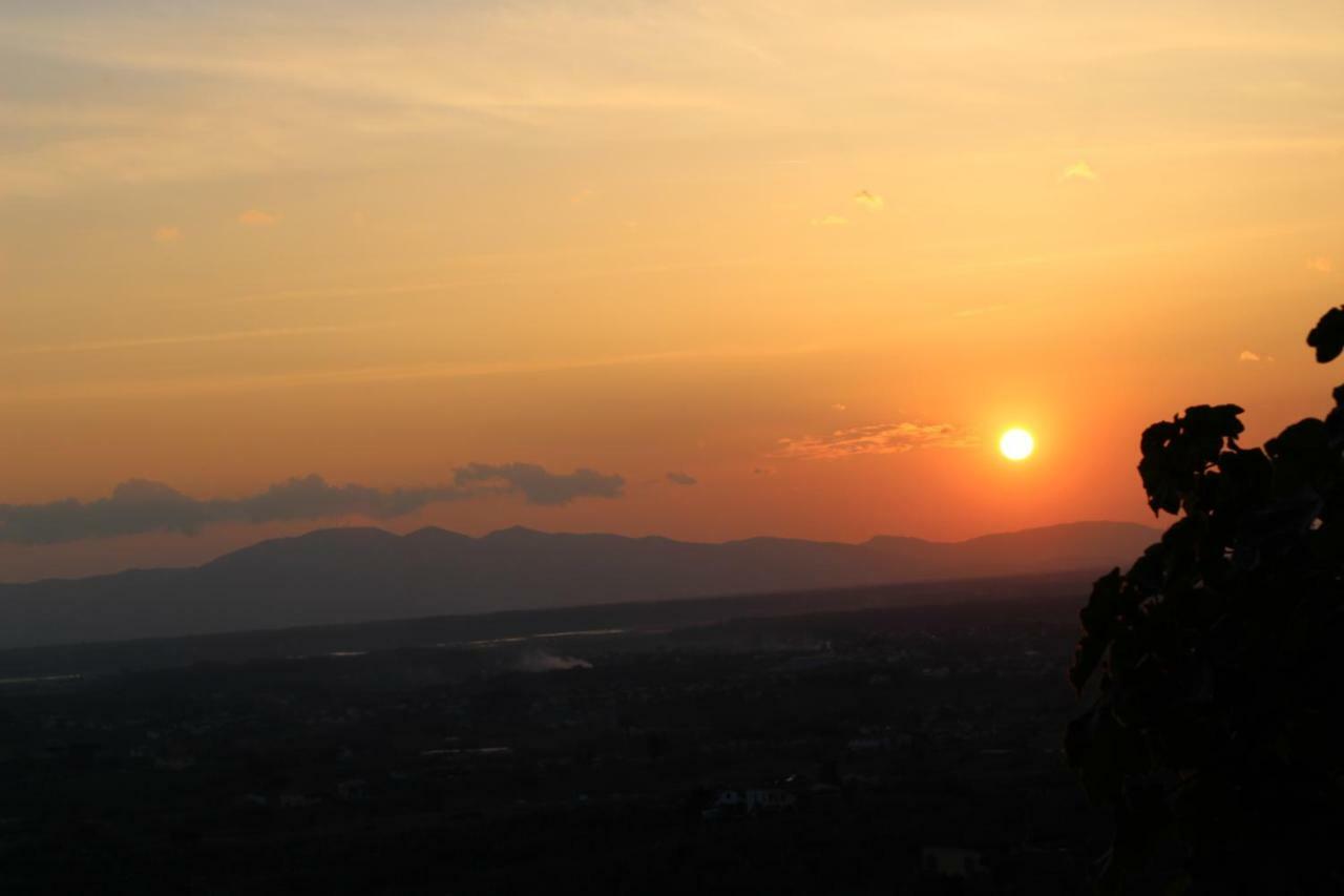 Agriturismo Podere Rondinaio Lamporecchio Dış mekan fotoğraf