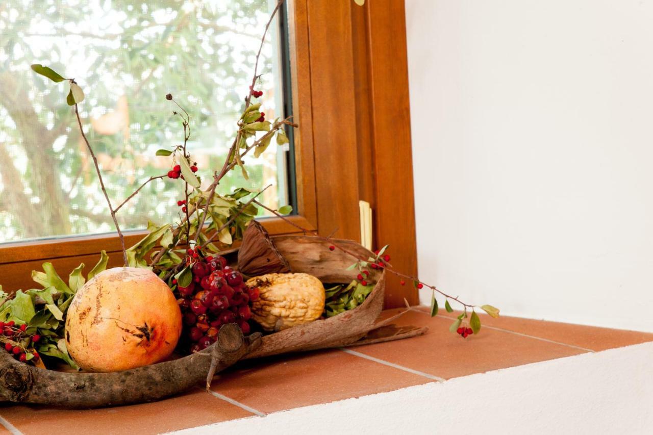 Agriturismo Podere Rondinaio Lamporecchio Dış mekan fotoğraf