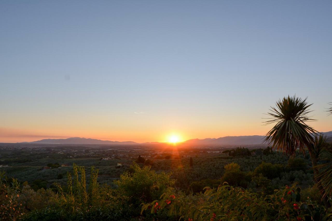 Agriturismo Podere Rondinaio Lamporecchio Dış mekan fotoğraf
