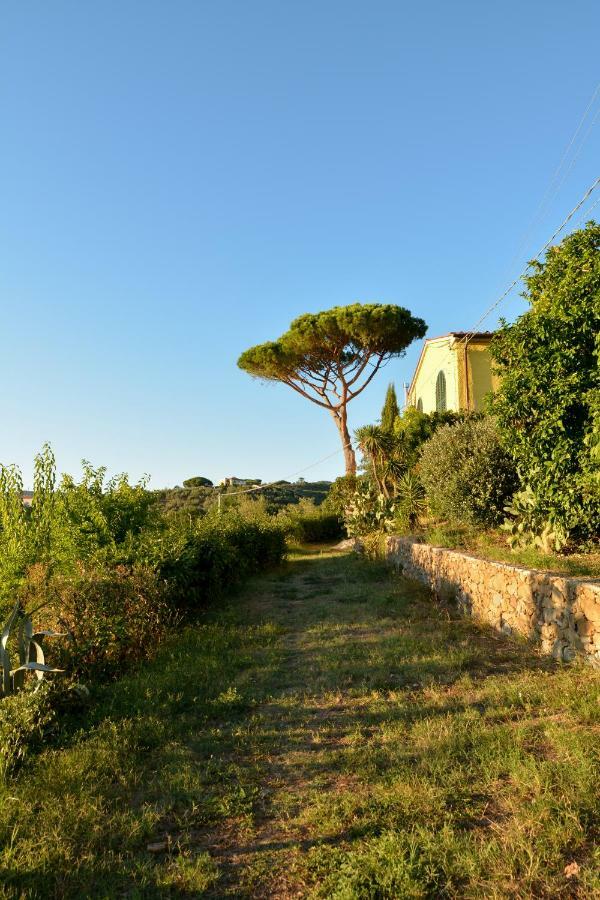 Agriturismo Podere Rondinaio Lamporecchio Dış mekan fotoğraf