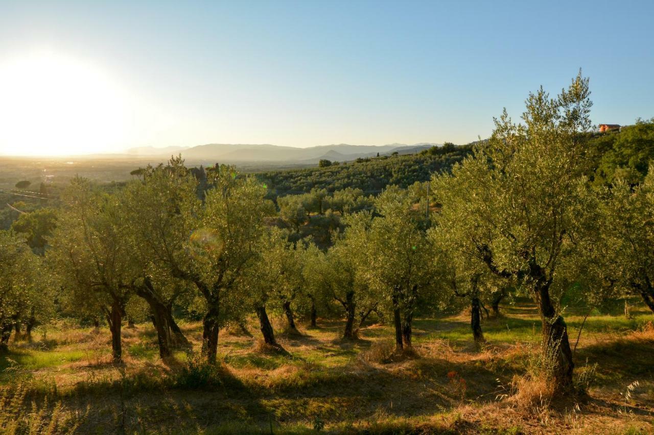 Agriturismo Podere Rondinaio Lamporecchio Dış mekan fotoğraf